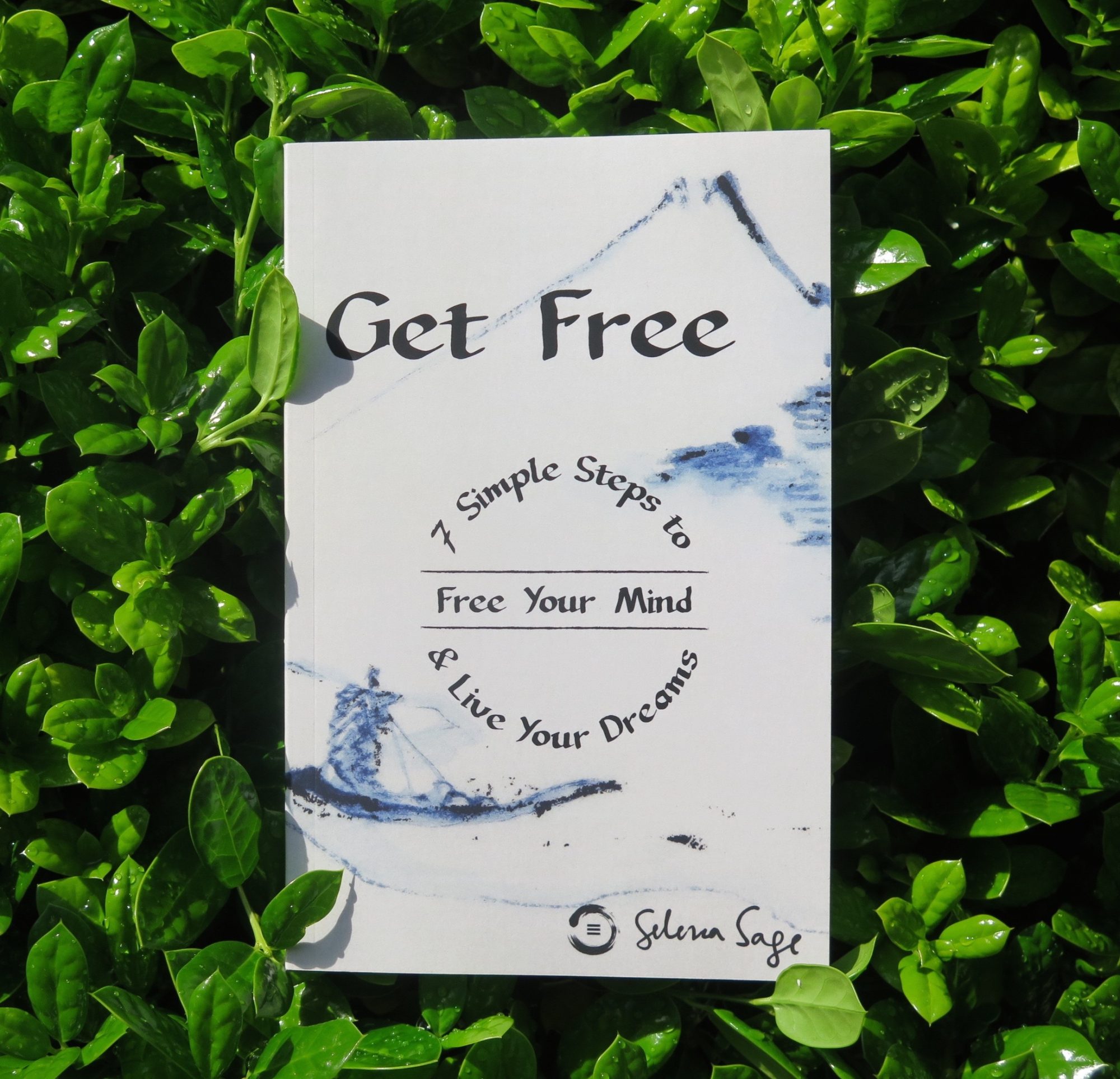Get Free book cover